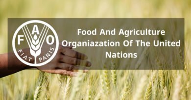Food And Agriculture Organiazation Of The United Nations